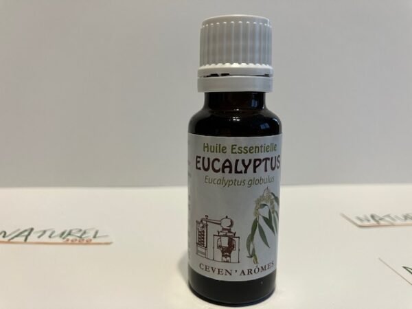 huile-essentielle-eucalyptus