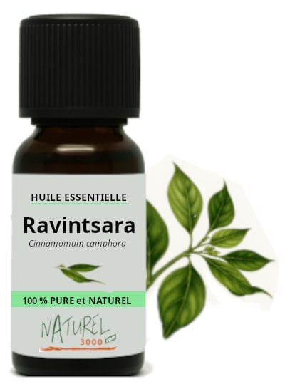 huile essentielle ravintsara